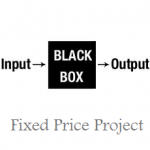 Fixed Price Project versus Dedicated Developer Model