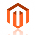 Magento Entwickler