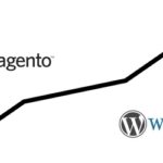 WordPress oder Magento für e-Commerce Shops?