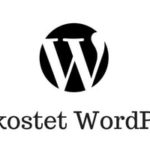 Was kostet eine WordPress Website?